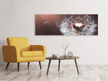 Laden Sie das Bild in den Galerie-Viewer, Leinwandbild Panorama Pusteblume im Abendlicht