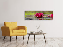 Laden Sie das Bild in den Galerie-Viewer, Leinwandbild Panorama Rotes Seerosen Duo