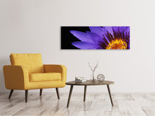 Laden Sie das Bild in den Galerie-Viewer, Leinwandbild Panorama XL Seerose in lila