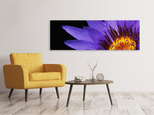 Laden Sie das Bild in den Galerie-Viewer, Leinwandbild Panorama XL Seerose in lila