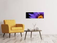 Laden Sie das Bild in den Galerie-Viewer, Leinwandbild Panorama XL Seerose in lila