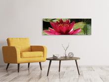 Laden Sie das Bild in den Galerie-Viewer, Leinwandbild Panorama Seerose in rot