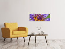 Laden Sie das Bild in den Galerie-Viewer, Leinwandbild Panorama XXL Seerose in lila