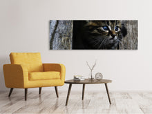 Laden Sie das Bild in den Galerie-Viewer, Leinwandbild Panorama Katzen Kind