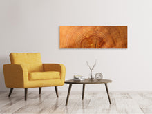 Laden Sie das Bild in den Galerie-Viewer, Leinwandbild Panorama Baumringe