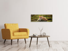 Laden Sie das Bild in den Galerie-Viewer, Leinwandbild Panorama Kitten in der Natur