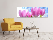 Laden Sie das Bild in den Galerie-Viewer, Leinwandbild Panorama Tulpen in der Natur