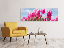 Laden Sie das Bild in den Galerie-Viewer, Leinwandbild Panorama Tulpenfeld in rosa