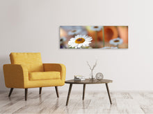Laden Sie das Bild in den Galerie-Viewer, Leinwandbild Panorama Margeriten XL