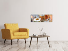 Laden Sie das Bild in den Galerie-Viewer, Leinwandbild Panorama Margeriten XL
