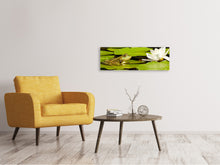 Laden Sie das Bild in den Galerie-Viewer, Leinwandbild Panorama Der Frosch und die Seerose