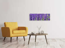 Laden Sie das Bild in den Galerie-Viewer, Leinwandbild Panorama XL Lavendel