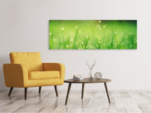 Laden Sie das Bild in den Galerie-Viewer, Leinwandbild Panorama Wiese mit Morgentau