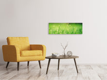 Laden Sie das Bild in den Galerie-Viewer, Leinwandbild Panorama Wiese mit Morgentau