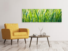 Laden Sie das Bild in den Galerie-Viewer, Leinwandbild Panorama Gras mit Morgentau XL