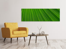 Laden Sie das Bild in den Galerie-Viewer, Leinwandbild Panorama Palm Streifen 1