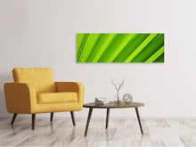 Laden Sie das Bild in den Galerie-Viewer, Leinwandbild Panorama Palm Streifen 2