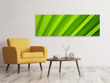 Laden Sie das Bild in den Galerie-Viewer, Leinwandbild Panorama Palm Streifen 2