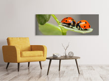 Laden Sie das Bild in den Galerie-Viewer, Leinwandbild Panorama 2 Marienkäfer