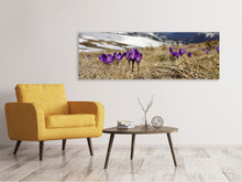 Laden Sie das Bild in den Galerie-Viewer, Leinwandbild Panorama Lila Krokus