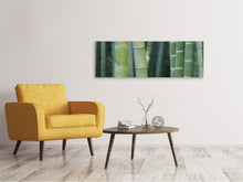 Laden Sie das Bild in den Galerie-Viewer, Leinwandbild Panorama Bambus in XXL