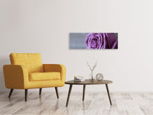 Laden Sie das Bild in den Galerie-Viewer, Leinwandbild Panorama Rose in Lila XXL