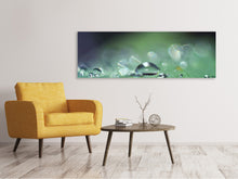 Laden Sie das Bild in den Galerie-Viewer, Leinwandbild Panorama Wassertropfen in XXL