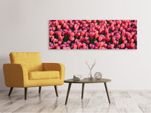 Laden Sie das Bild in den Galerie-Viewer, Leinwandbild Panorama Üppiges Tulpenfeld