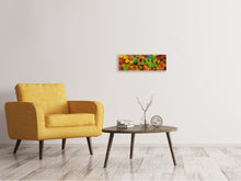 Laden Sie das Bild in den Galerie-Viewer, Leinwandbild Panorama Bunte Fruchtgummis