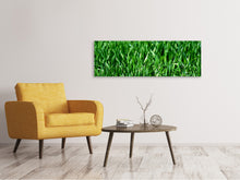 Laden Sie das Bild in den Galerie-Viewer, Leinwandbild Panorama Die Wiese in XL