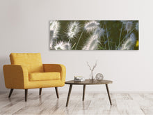 Laden Sie das Bild in den Galerie-Viewer, Leinwandbild Panorama Ziergräser in XL