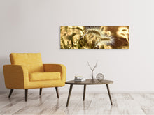 Laden Sie das Bild in den Galerie-Viewer, Leinwandbild Panorama Ziergras im Sonnenlicht