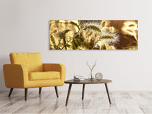 Laden Sie das Bild in den Galerie-Viewer, Leinwandbild Panorama Ziergras im Sonnenlicht