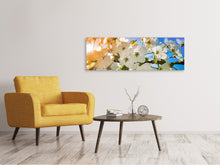 Laden Sie das Bild in den Galerie-Viewer, Leinwandbild Panorama Die Apfelbaum Blüte