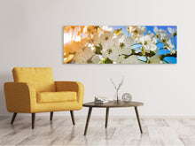 Laden Sie das Bild in den Galerie-Viewer, Leinwandbild Panorama Die Apfelbaum Blüte