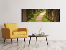 Laden Sie das Bild in den Galerie-Viewer, Leinwandbild Panorama Ein Weg im Wald
