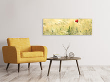 Laden Sie das Bild in den Galerie-Viewer, Leinwandbild Panorama Eine Mohnblume