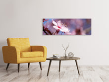 Laden Sie das Bild in den Galerie-Viewer, Leinwandbild Panorama Close up Kirschblüte