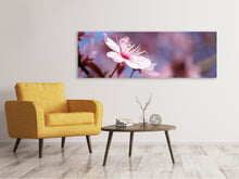 Laden Sie das Bild in den Galerie-Viewer, Leinwandbild Panorama Close up Kirschblüte