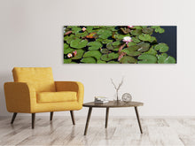 Laden Sie das Bild in den Galerie-Viewer, Leinwandbild Panorama Weisse Seerosen im Teich