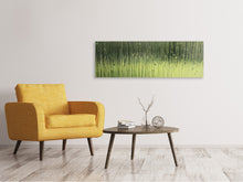 Laden Sie das Bild in den Galerie-Viewer, Leinwandbild Panorama Satiniertes Glas