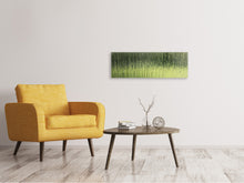 Laden Sie das Bild in den Galerie-Viewer, Leinwandbild Panorama Satiniertes Glas