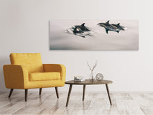 Laden Sie das Bild in den Galerie-Viewer, Leinwandbild Panorama Die Delfine