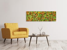 Laden Sie das Bild in den Galerie-Viewer, Leinwandbild Panorama Habichtskräuter