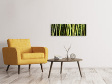 Laden Sie das Bild in den Galerie-Viewer, Leinwandbild Panorama Frischer Bambus