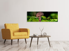 Laden Sie das Bild in den Galerie-Viewer, Leinwandbild Panorama Strobilomyces Strobilaceus