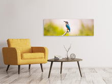 Laden Sie das Bild in den Galerie-Viewer, Leinwandbild Panorama Der Eisvogel