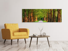Laden Sie das Bild in den Galerie-Viewer, Leinwandbild Panorama Schöne Allee in der Natur