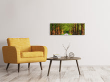 Laden Sie das Bild in den Galerie-Viewer, Leinwandbild Panorama Schöne Allee in der Natur
