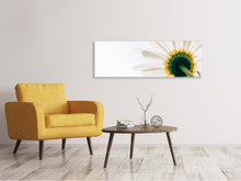 Laden Sie das Bild in den Galerie-Viewer, Leinwandbild Panorama Ein Gänseblümchen